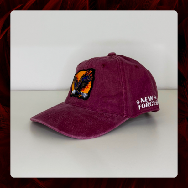 Gorra vintage, color bordó, New Forces